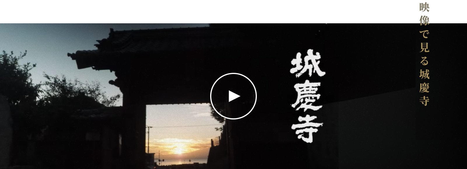 youtubeが再生されます